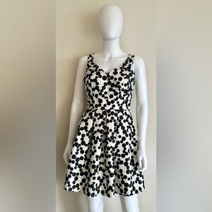 Taylor Petite Size 6P Black and White Polka Dot Dress